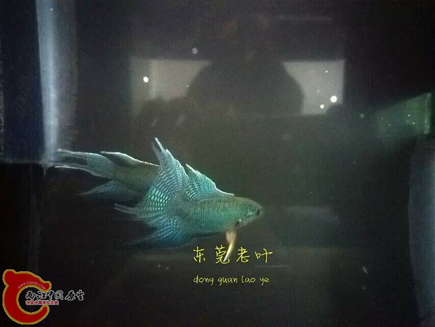 QQ图片20150823142909.jpg