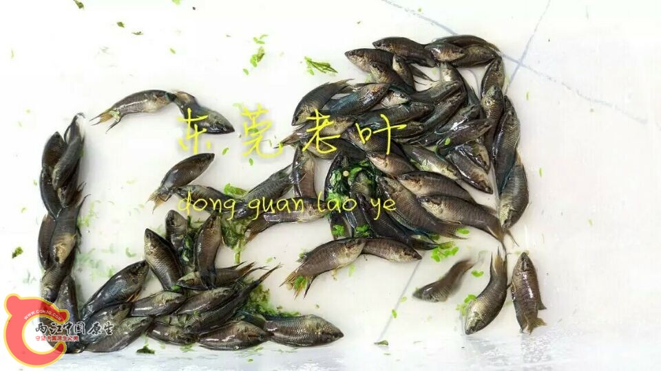 QQ图片20150823142911.jpg
