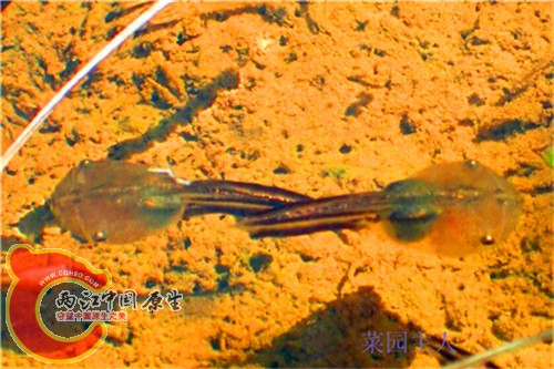 QQ图片20150823211641.jpg