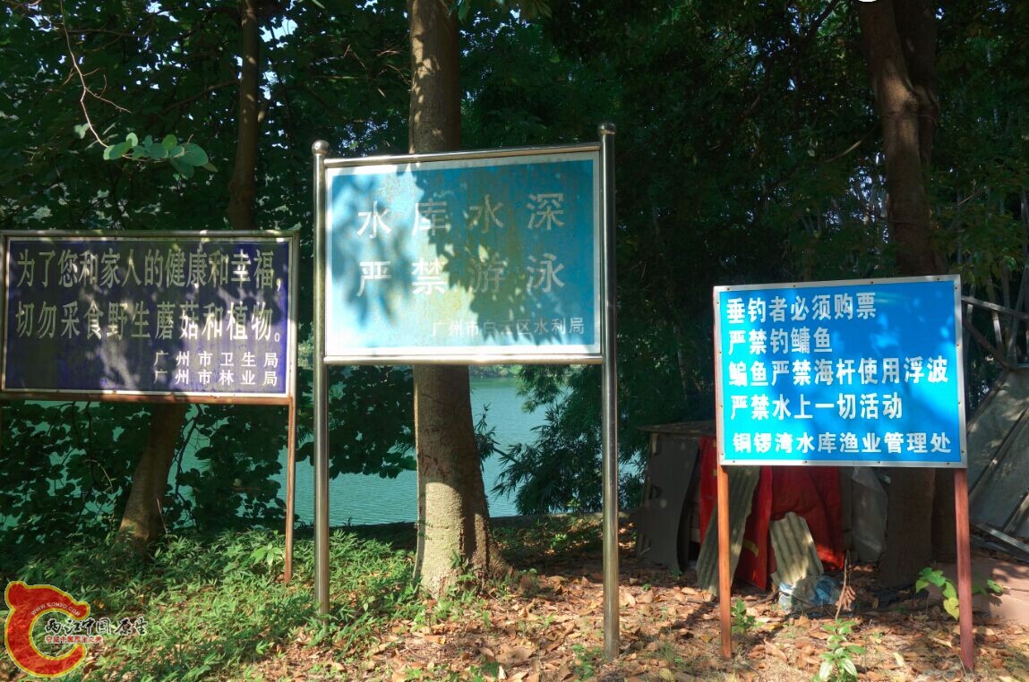 m15.jpg