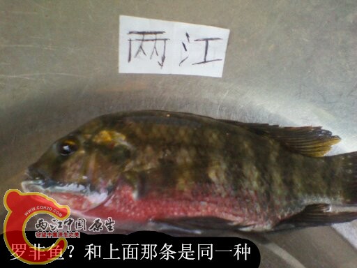 1440383121470_副本.jpg