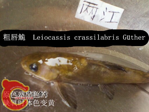 1440383207823_副本.jpg