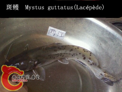 1440383251245_副本.jpg