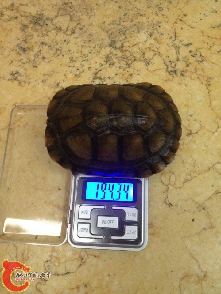 QQ图片20150828144409.jpg