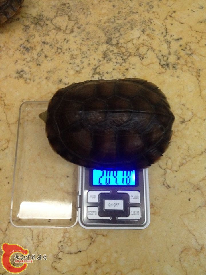 QQ图片20150828144418.jpg