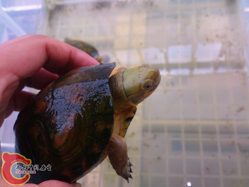 DSC_3034_副本.jpg