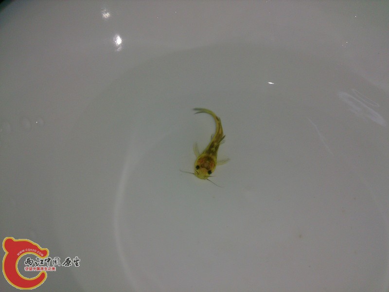 DSC_1673(1)_副本.jpg
