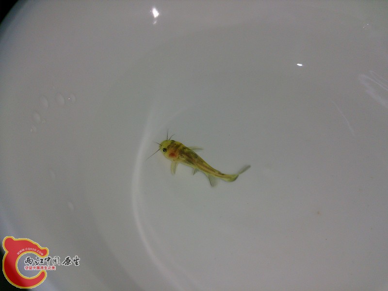 DSC_1674(1)_副本.jpg