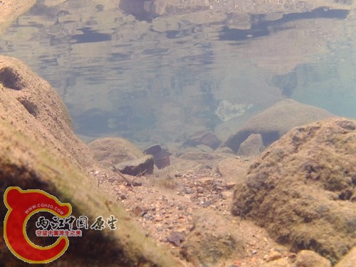 FHD0515.jpg