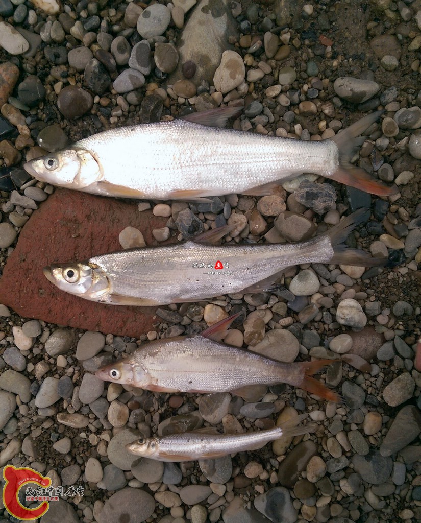 IMAG0898.jpg