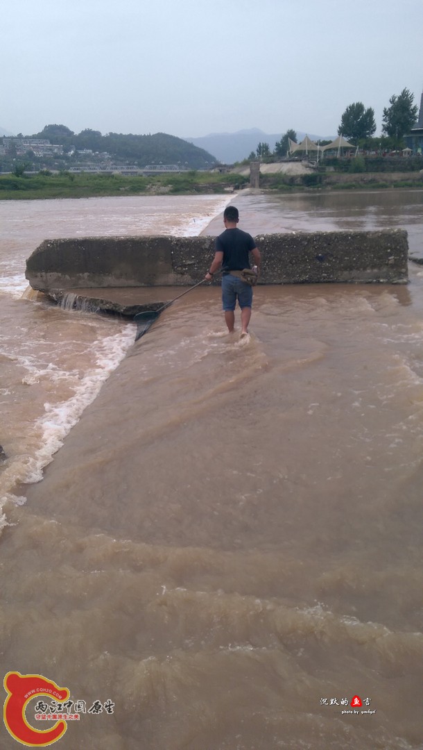 IMAG0907.jpg