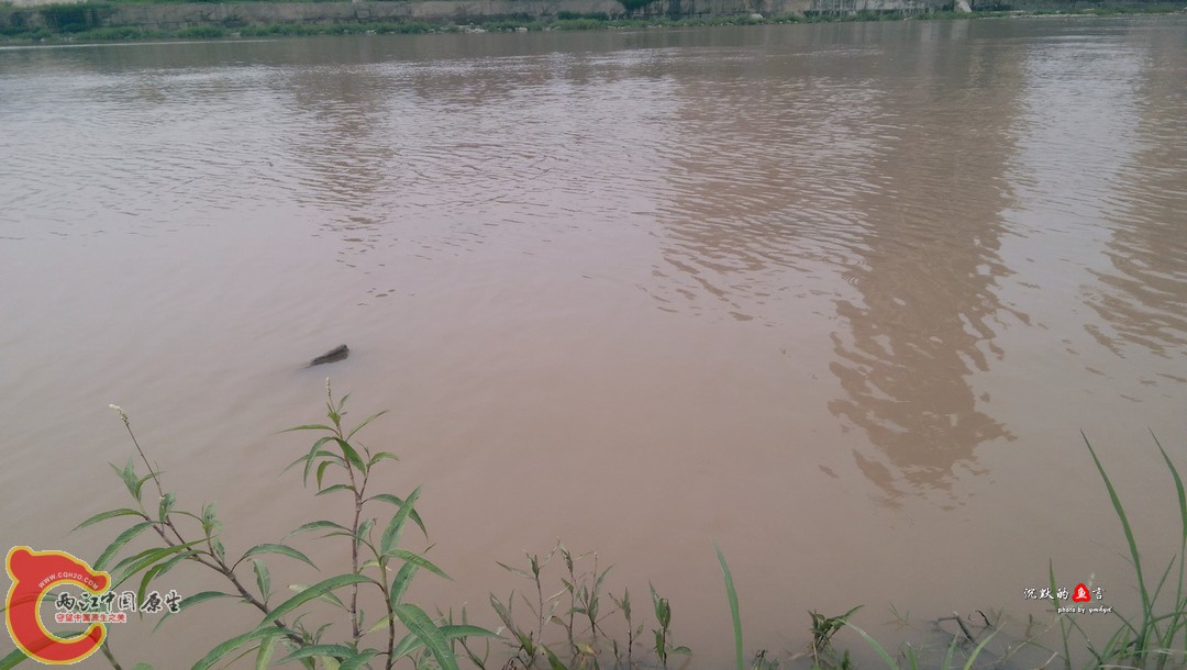 IMAG0909.jpg