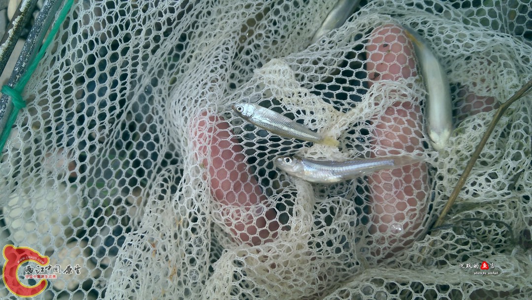 IMAG0910.jpg