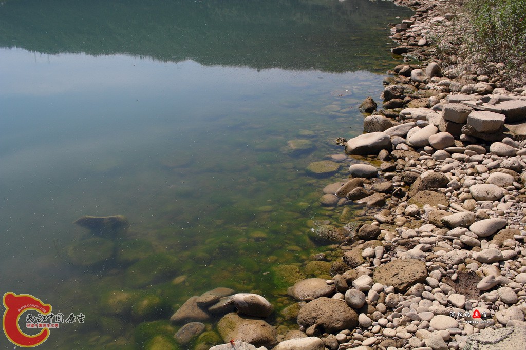 _MG_0010.jpg