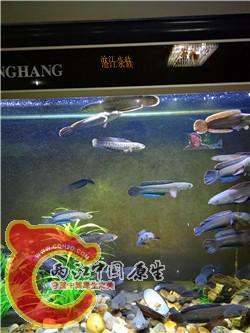 IMG20150816211034.jpg
