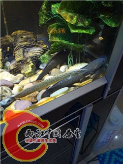 IMG20150826193923.jpg