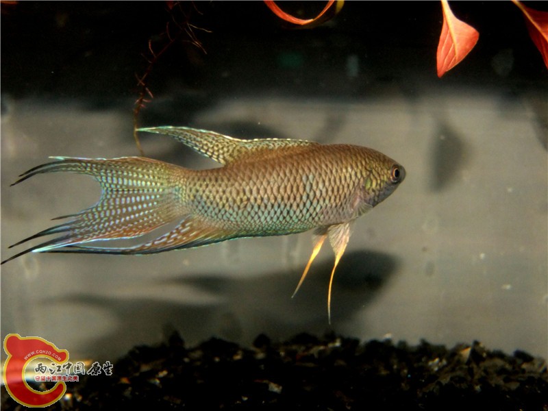 DSCF6836.jpg