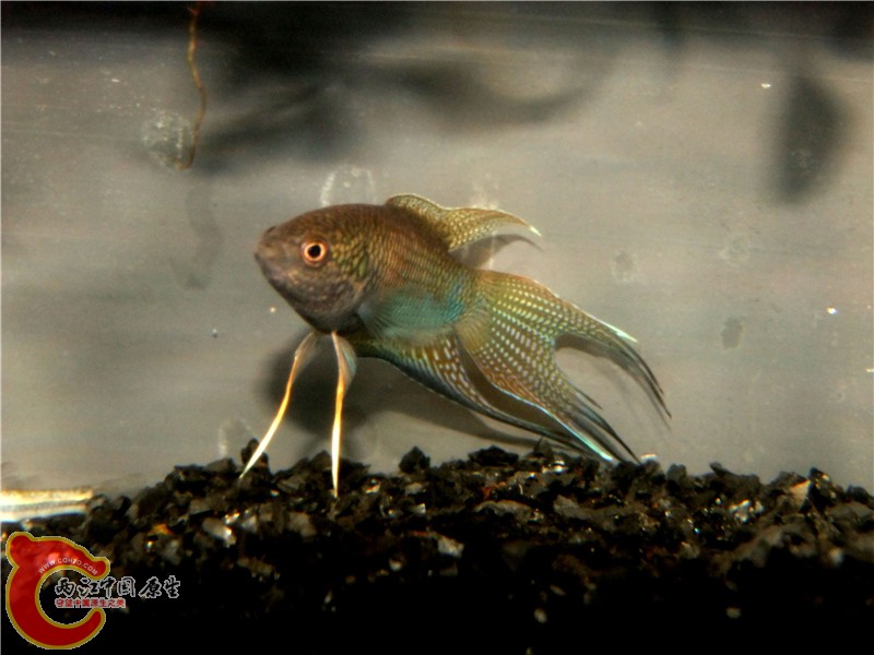 DSCF6838.jpg