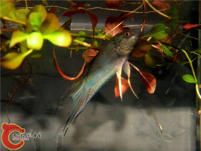 DSCF6842.jpg