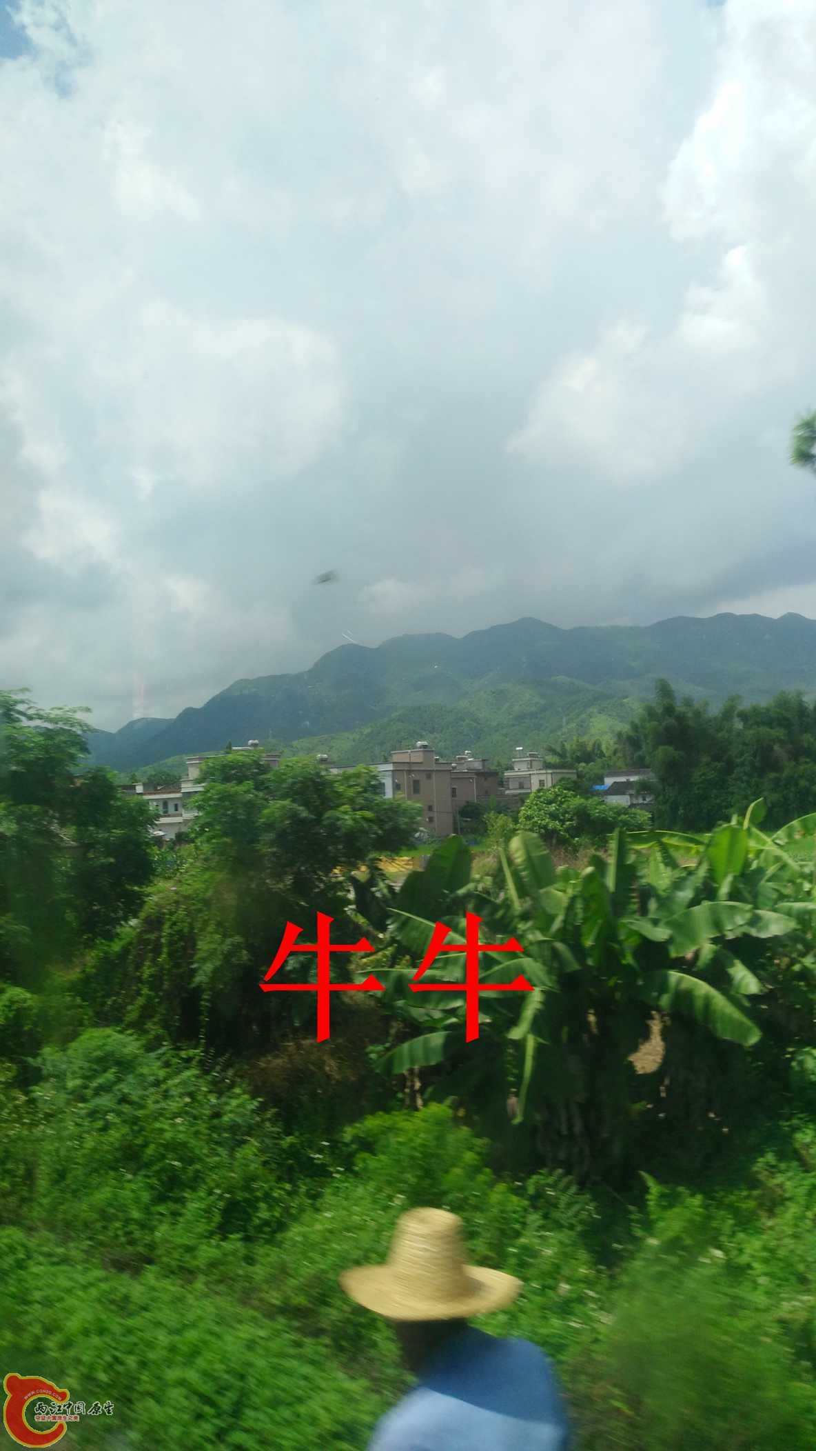 IMG_20150904_104806.jpg