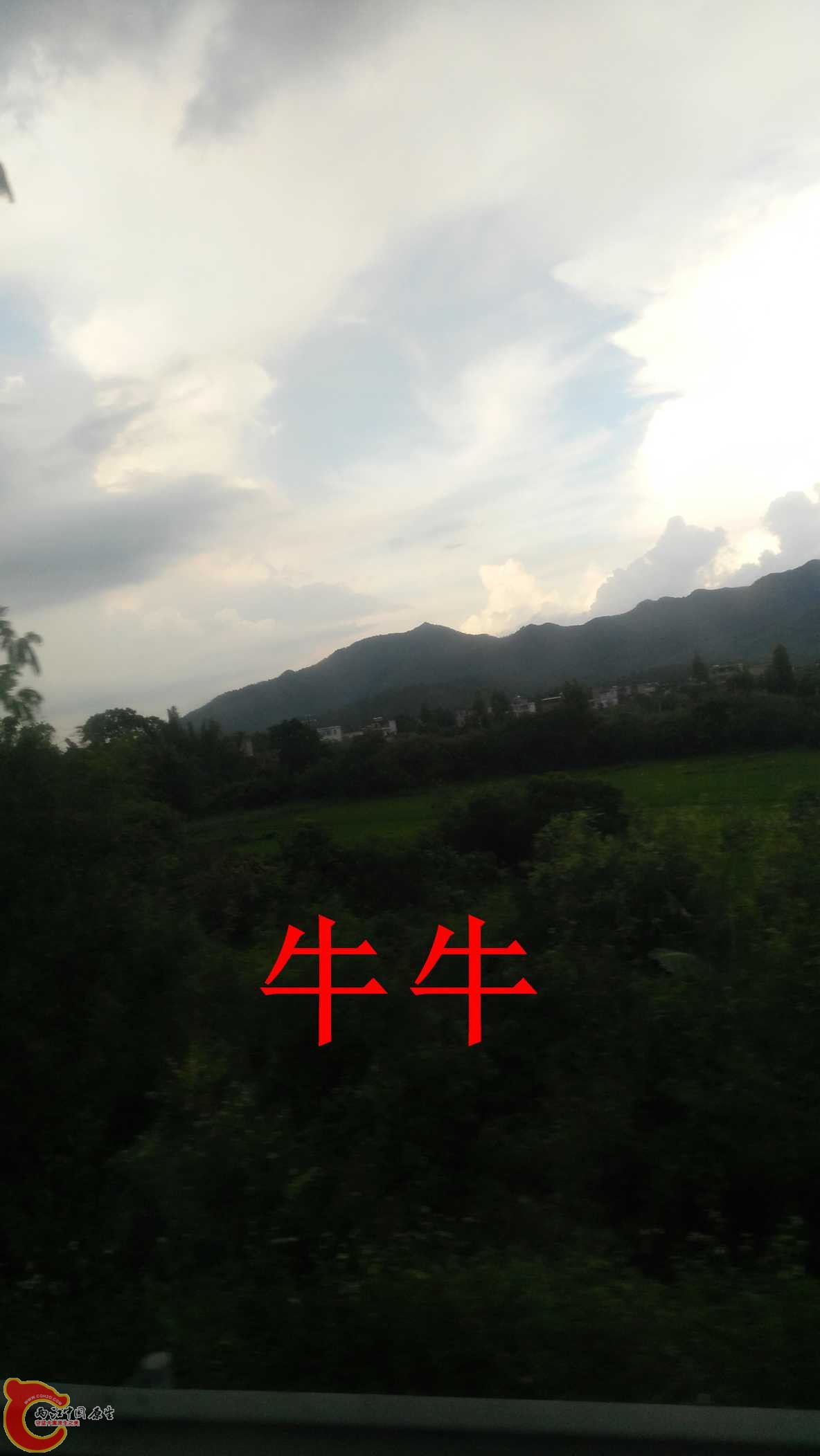 IMG_20150904_164521.jpg