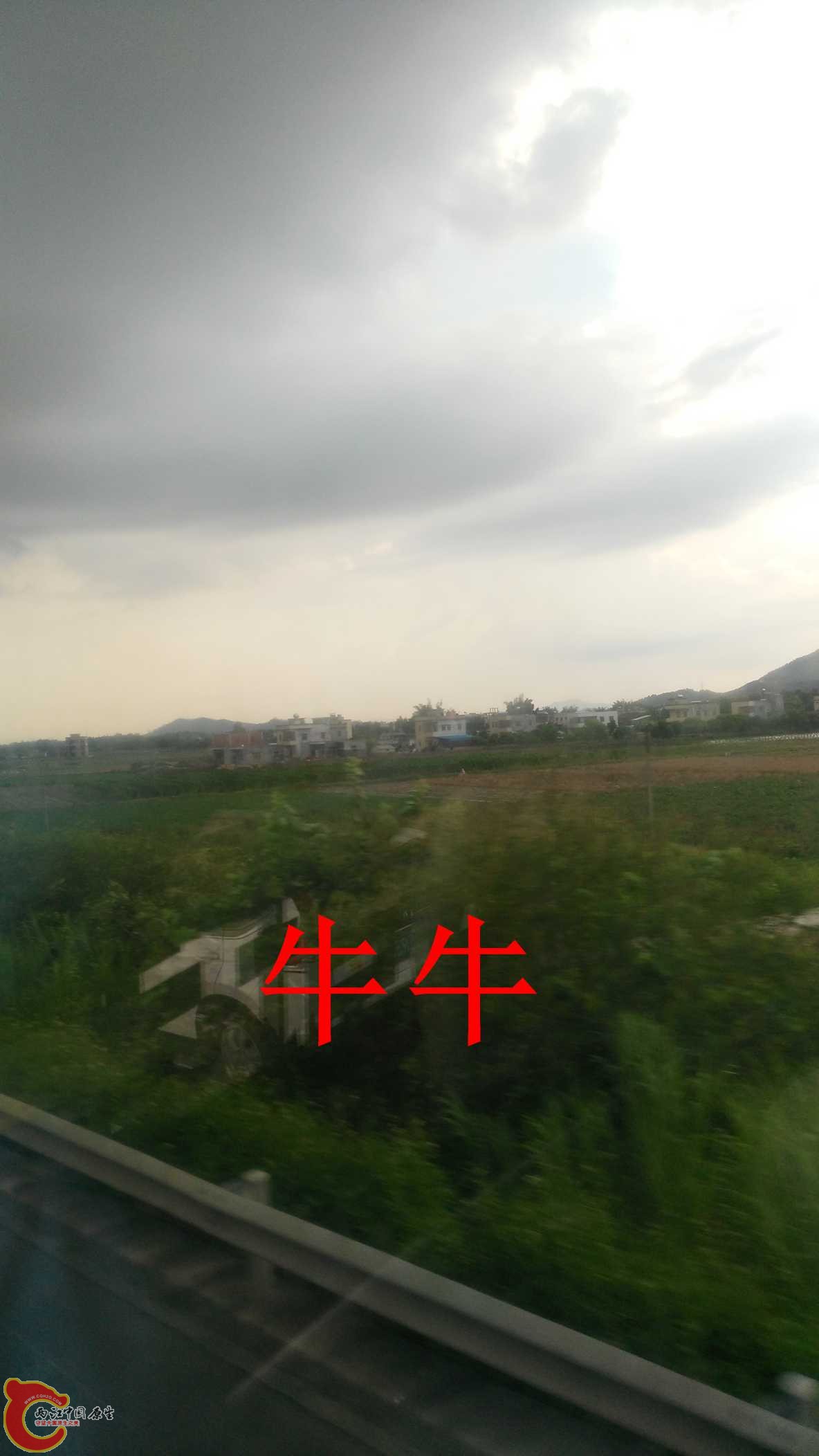 IMG_20150904_164532.jpg