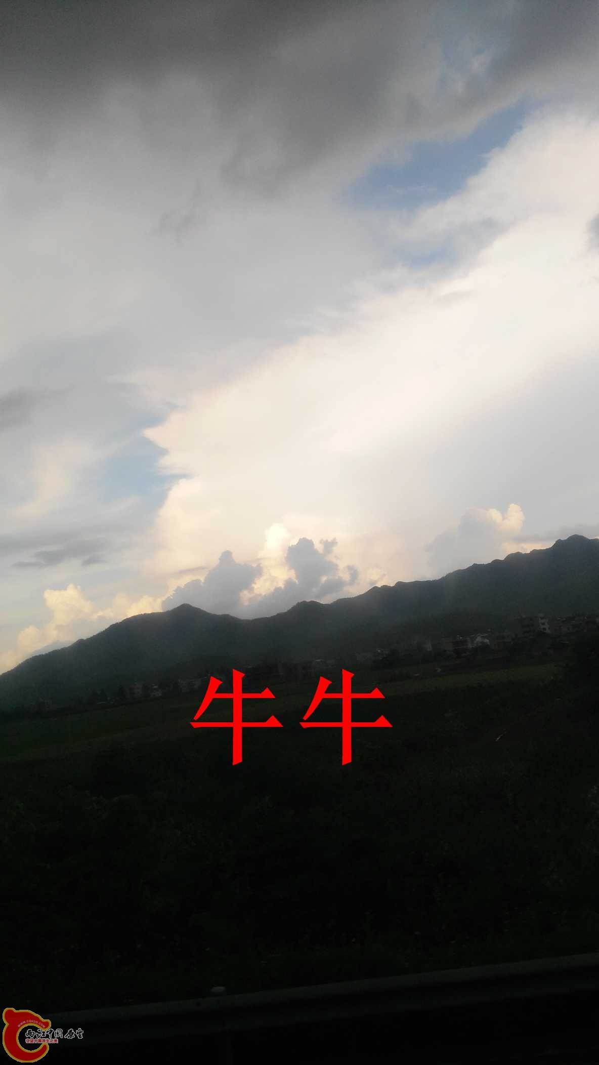 IMG_20150904_164602.jpg