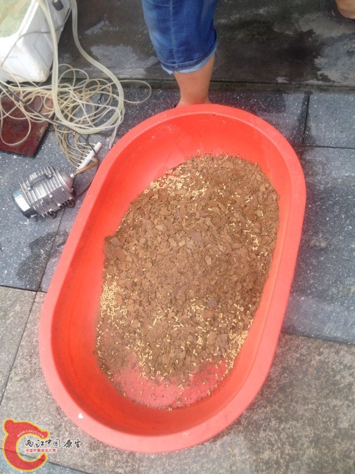 QQ图片20150907093622.jpg