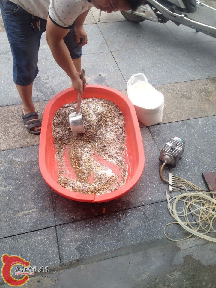 QQ图片20150907093629.jpg