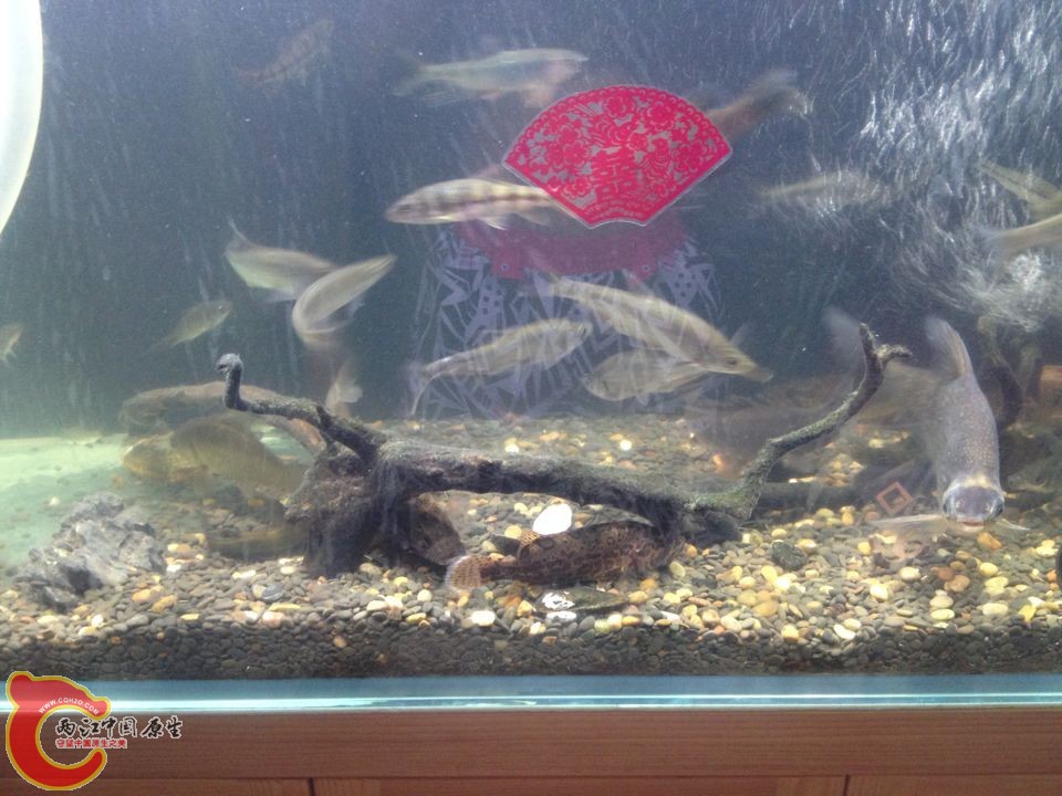 QQ图片20150907094455.jpg