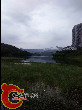 风景不错湖还是很大的