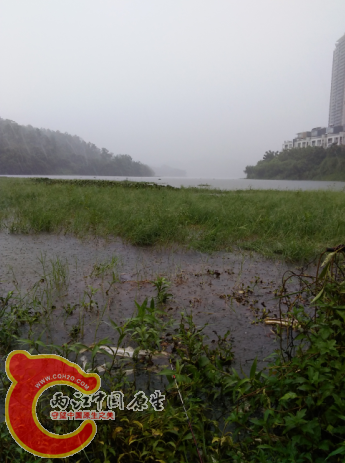 下雨了，没办法，我在小岛上，