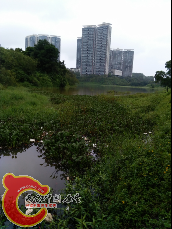 换了个位置，进水口