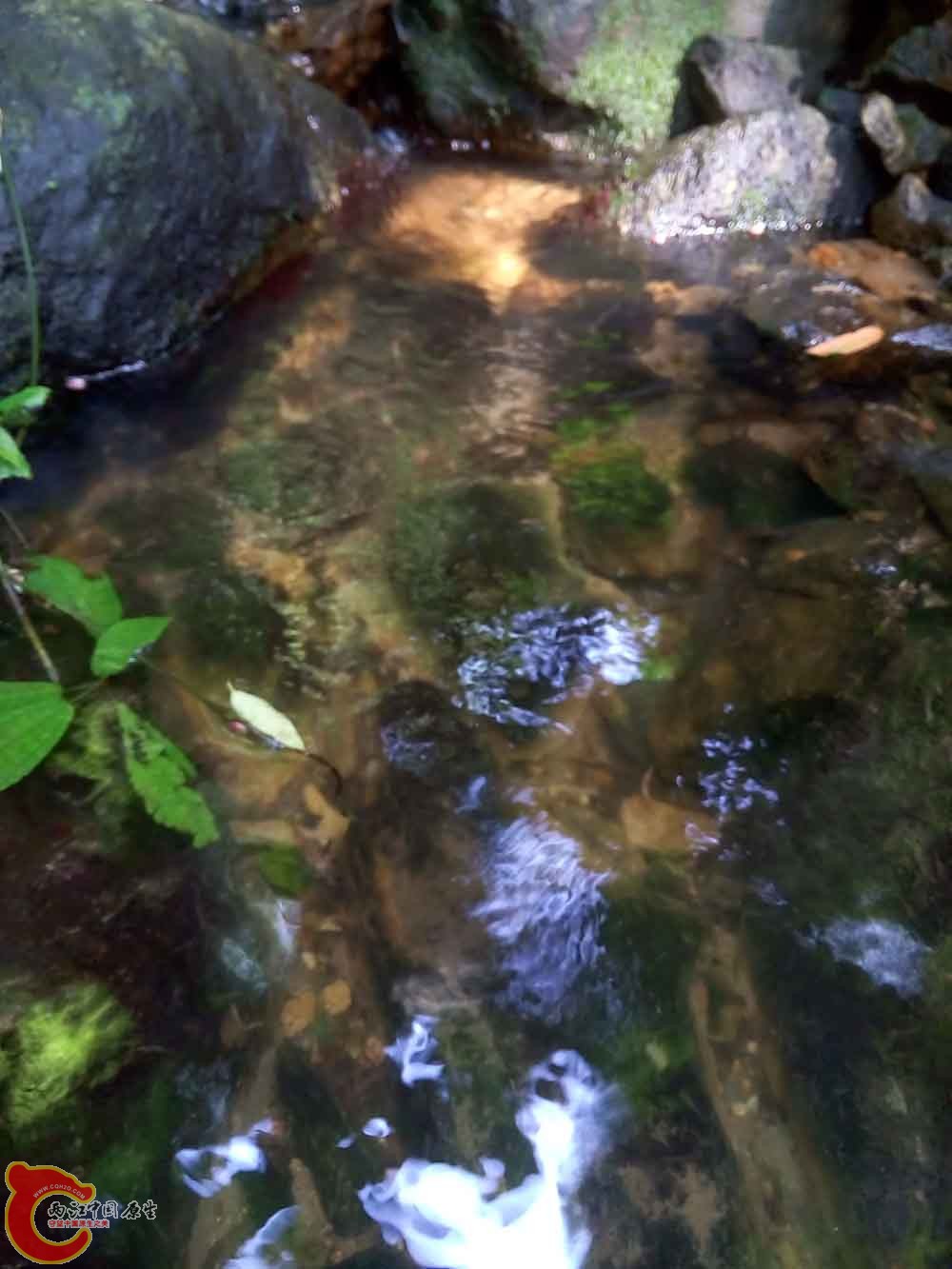 P50908-151150.jpg