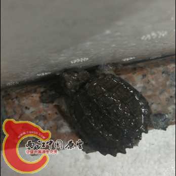 QQ截图20150910002156.png