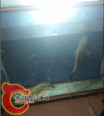 QQ截图20150910002300.png
