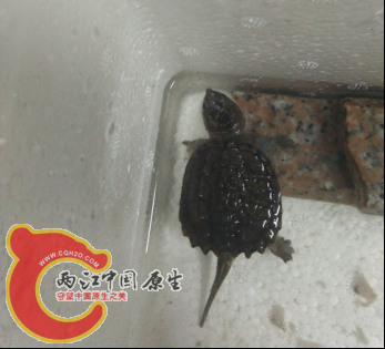 QQ截图20150910002224.png