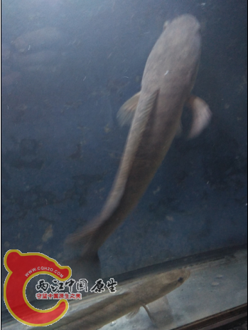 QQ截图20150910002331.png