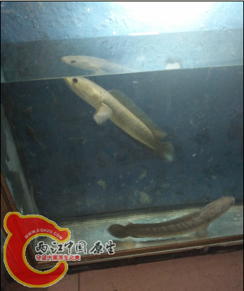 QQ截图20150910002429.png
