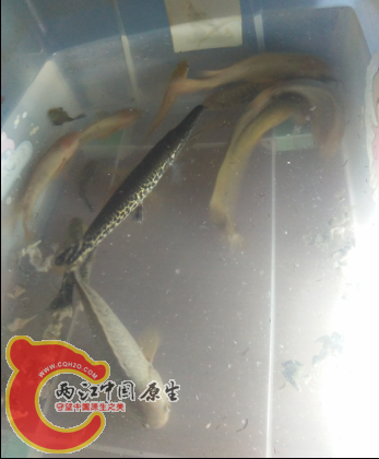 QQ截图20150910002449.png