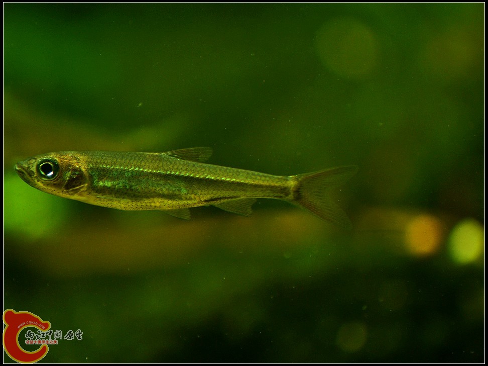 DSC_1267.jpg
