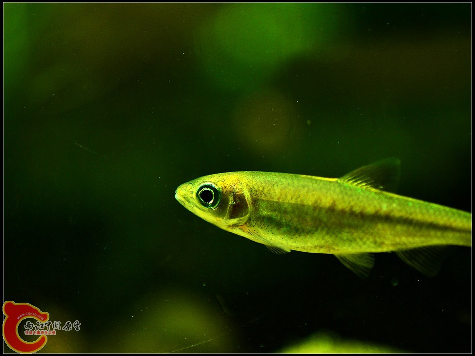 DSC_1274.jpg
