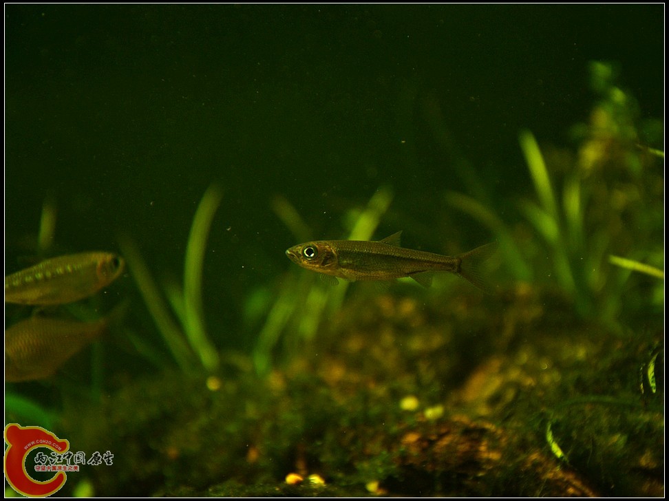 DSC_1257.jpg