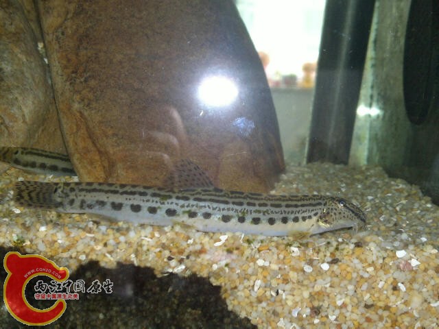 IMG_2139.jpg