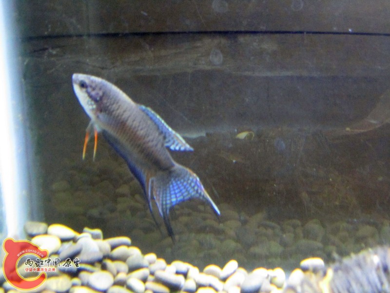 IMG_8267_副本.jpg