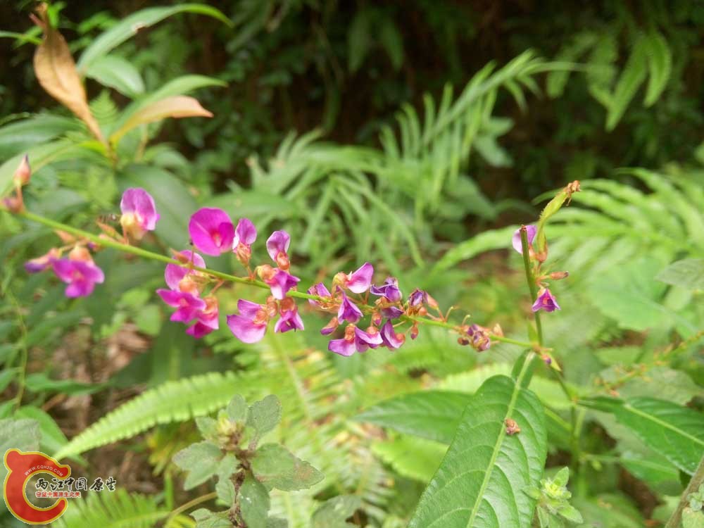 P50919-102831.jpg