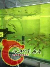 光唇.jpg