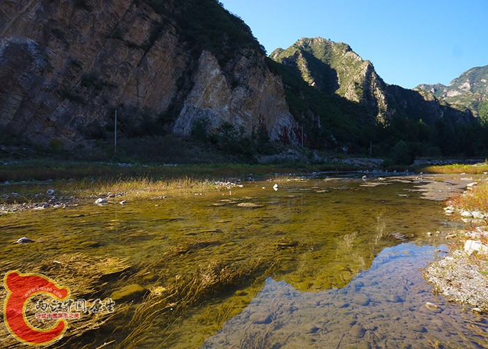 野采地