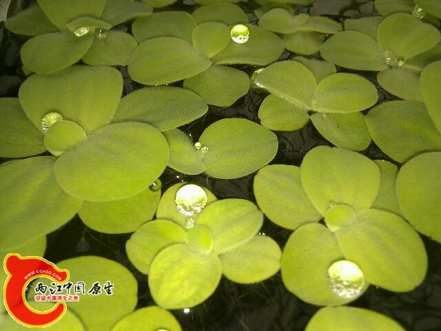 IMG_20120404_103456.jpg