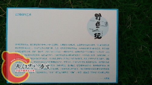 IMG_20150926_164052.jpg